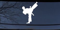 Karate Ninja Car or Truck Window Decal Sticker
