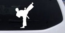Karate Ninja Car or Truck Window Decal Sticker