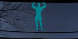 Body Builder Sports Car or Truck Window Decal Sticker (Turquoise Blue)