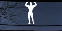 Body Builder Sports Car or Truck Window Decal Sticker