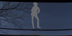 Cowgirl Decal Western Car or Truck Window Decal Sticker (Silver)