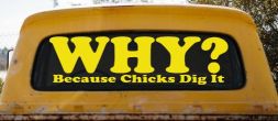 Why Because Chicks Dig It Funny Off Road Truck Car Window Decal Sticker (Yellow)