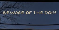 Beware Of The Dog Car Truck Window Vinyl Decal Sticker Funny Pet Warning (Desert Sand)