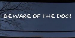 Beware Of The Dog Car or Truck Window Decal Sticker