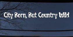 City Born But Country Wild Car or Truck Window Decal Sticker
