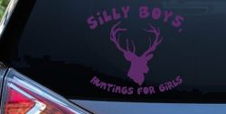 Silly Boys Hunting's for Girls Car or Truck Window Decal Sticker (Violet)