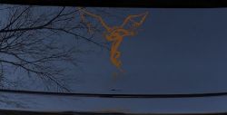 Dragon Flying Car or Truck Window Decal Sticker (Copper)