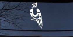 Parakeet Car or Truck Window Decal Sticker
