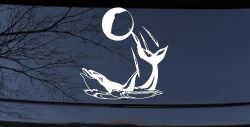 Dolphin Playing Ball Animals Car or Truck Window Decal Sticker