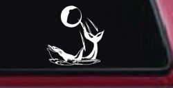 Dolphin Playing Ball Animals Car or Truck Window Decal Sticker