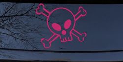 Cute Skull And Cross Bones Car or Truck Window Decal Sticker (Hot Pink)