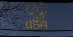 USA Muscle Bald Eagle Vinyl Decal for Car Truck Window Patriotic Sticker (Gold)