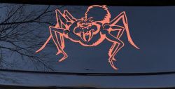 Spider Car or Truck Window Decal Sticker (Coral)