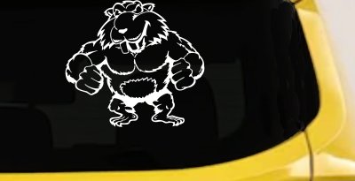Muscular Beaver Car Truck Window Vinyl Decal Sticker Funny Animal Auto Graphic (White)