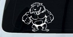 Muscular Beaver Car or Truck Window Decal Sticker