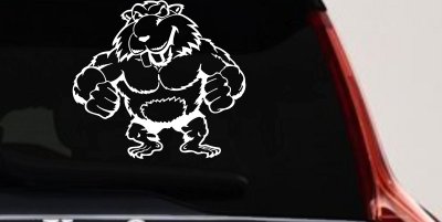 Muscular Beaver Car Truck Window Vinyl Decal Sticker Funny Animal Auto Graphic (White)