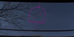 Cute Bird On Swing Car or Truck Window Decal Sticker (Violet)