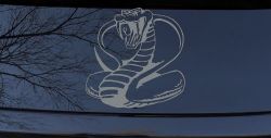King Cobra Animals Car or Truck Window Decal Sticker (Telegrey)