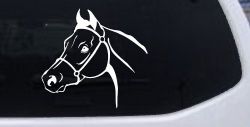 Horse Head Western Farm Ranch Car or Truck Window Decal Sticker