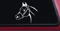 Horse Head Western Farm Ranch Car or Truck Window Decal Sticker