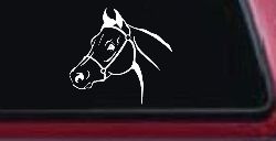 Horse Head Western Farm Ranch Car or Truck Window Decal Sticker