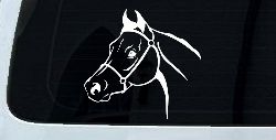 Horse Head Western Farm Ranch Car or Truck Window Decal Sticker
