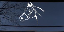 Horse Head Western Farm Ranch Car or Truck Window Decal Sticker