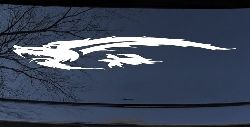 Flying Asian Dragon Car or Truck Window Decal Sticker
