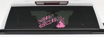 Where Is The Bonfire Country Car or Truck Window Decal Sticker (Pink)