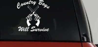 Decal Preview