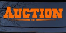 Auction Window Lettering Sign Business Car or Truck Window Decal Sticker (Orange)