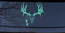 Big Buck Skull With Feathers Hunting Car or Truck Window Decal Sticker (Mint)