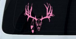 Big Buck Skull With Feathers Hunting Car or Truck Window Decal Sticker (Pink)
