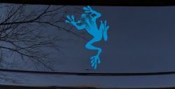 Frog With Swirl Eyes Car or Truck Window Vinyl Decal Sticker (Blue)