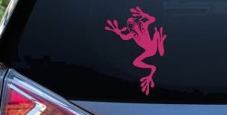 Frog With Swirl Eyes Car or Truck Window Vinyl Decal Sticker (Hot Pink)