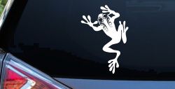 Frog With Swirl Eyes Car or Truck Window Decal Sticker