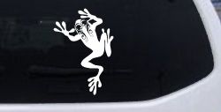 Frog With Swirl Eyes Car or Truck Window Decal Sticker