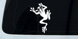 Frog With Swirl Eyes Car or Truck Window Decal Sticker