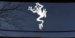Frog With Swirl Eyes Car or Truck Window Decal Sticker
