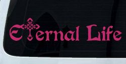 Eternal Life With Cross Christian Car or Truck Window Decal Sticker (Hot Pink)