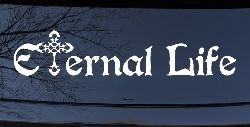 Eternal Life With Cross Christian Car or Truck Window Decal Sticker