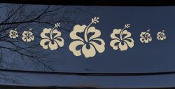 Hibiscus Flowers Row Car or Truck Window Decal Sticker (Desert Sand)