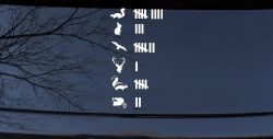 Keeping Count Roadkill Animals You Have HIt Funny Car or Truck Window Decal Sticker
