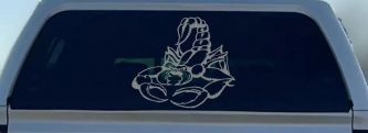 Mean Scorpion Car or Truck Window Decal Sticker (Telegrey)