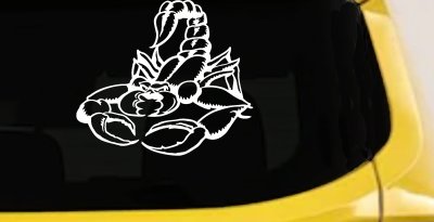 Mean Scorpion Car or Truck Window Vinyl Decal Sticker