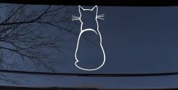 Cat Back Car or Truck Window Decal Sticker