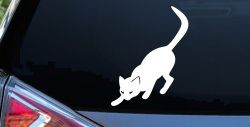 Cat Stalking Car or Truck Window Decal Sticker