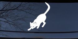 Cat Stalking Car or Truck Window Decal Sticker