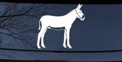 Donkey Jackass Mule Car or Truck Window Decal Sticker