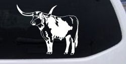 Longhorn Bull Car or Truck Window Decal Sticker
